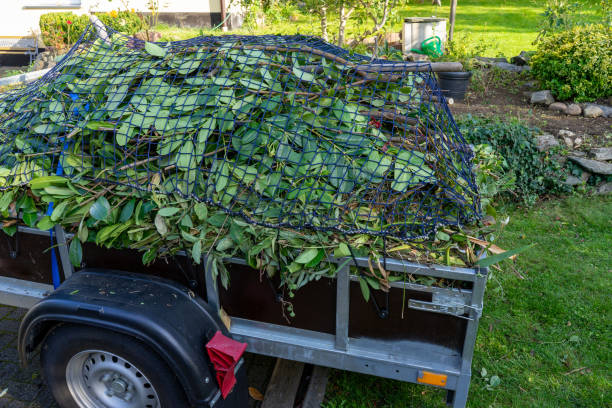 Best Shed Removal  in Salem, IL